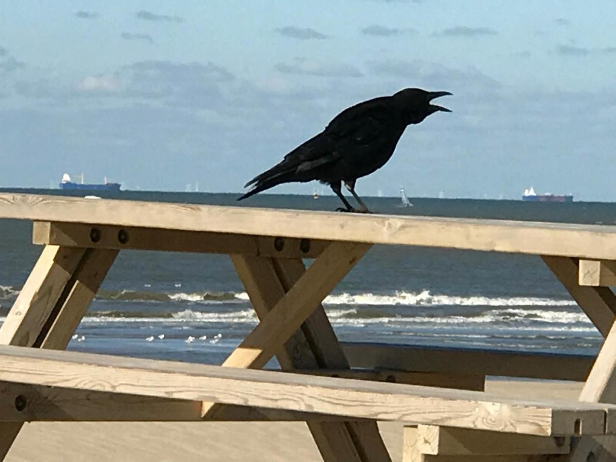 Boutique Hide & Seek, Bed & Beach Bed & Breakfast Den Haag Bagian luar foto