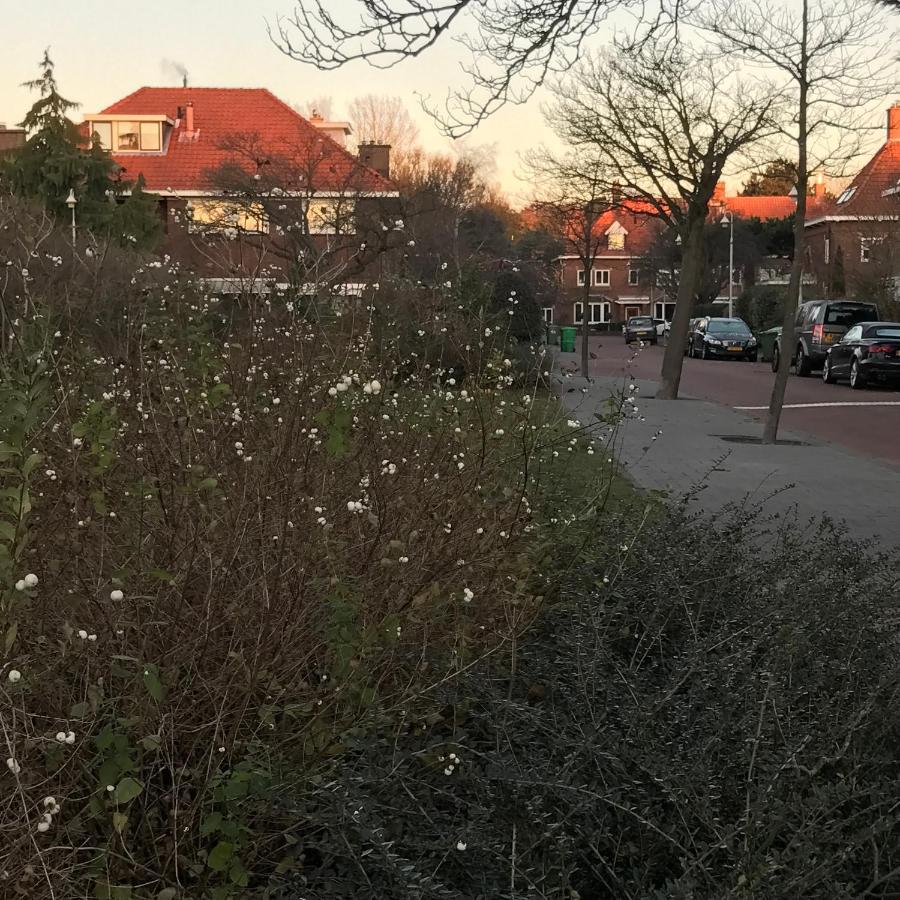 Boutique Hide & Seek, Bed & Beach Bed & Breakfast Den Haag Bagian luar foto